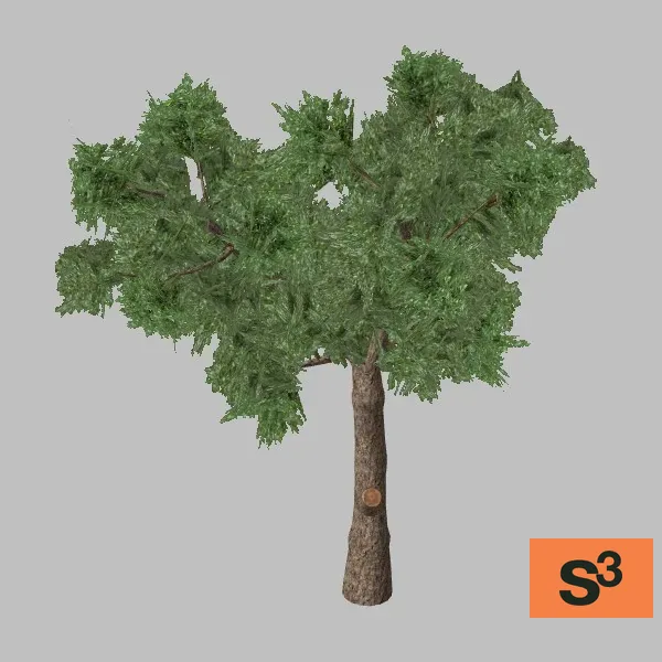 tree-olive-001 — 3D model preview