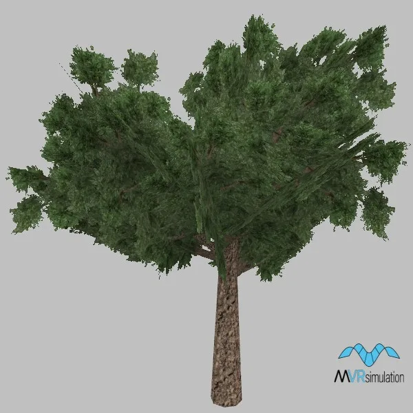 tree-olive-001-low — 3D model preview
