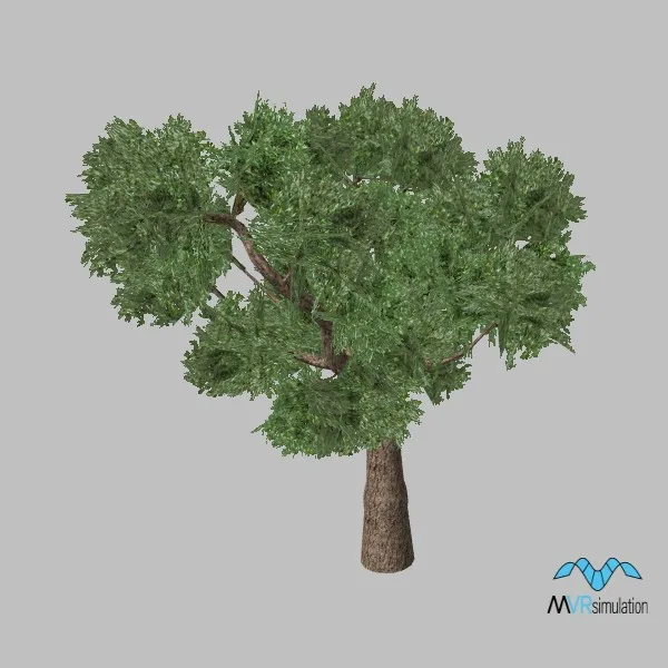 tree-olive-002 — 3D model preview