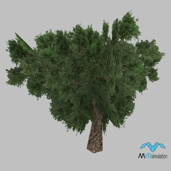 tree-olive-002-low — 3D model preview