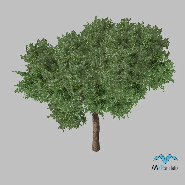 tree-olive-003 — 3D model preview