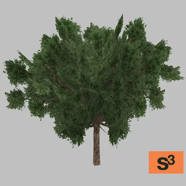 tree-olive-003-low — 3D model preview