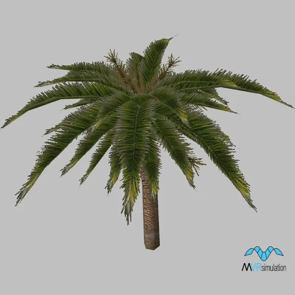 tree-palm-001 — 3D model preview