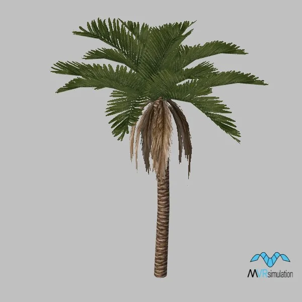 tree-palm-002 — 3D model preview