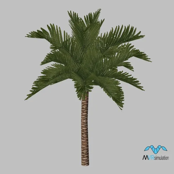 tree-palm-003 — 3D model preview