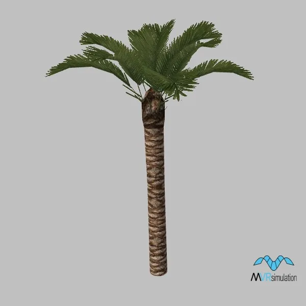 tree-palm-004 — 3D model preview