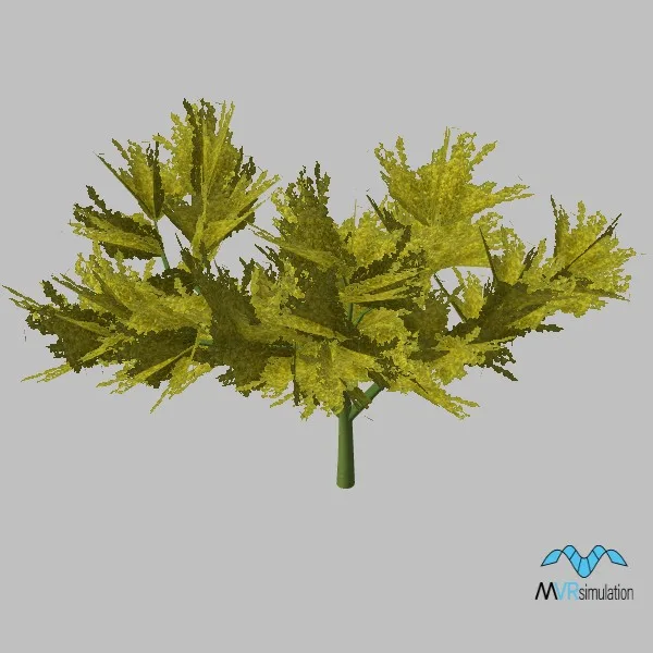tree-palo-verde-001 — 3D model preview