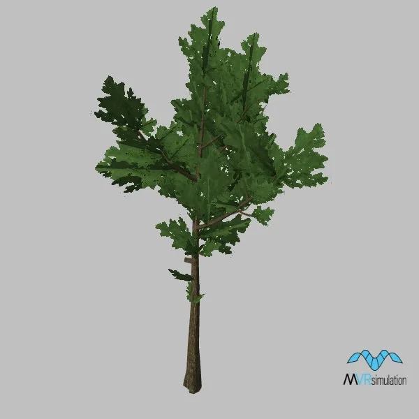 tree-pine-001 — 3D model preview