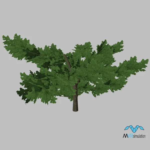 tree-pine-002 — 3D model preview