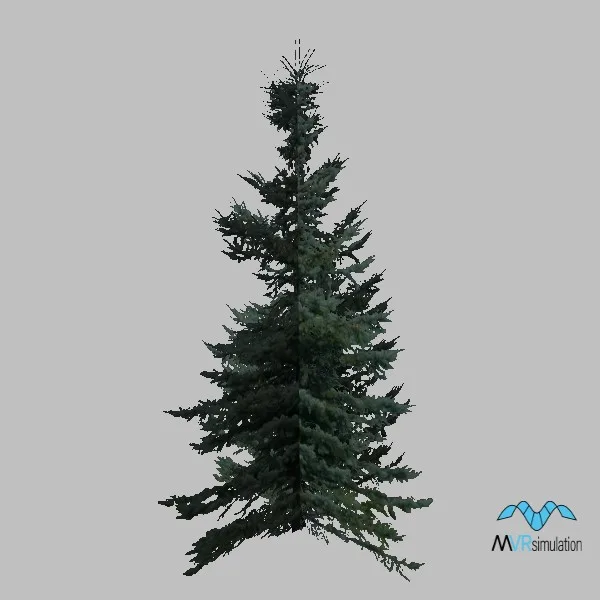 tree-pine-003 — 3D model preview