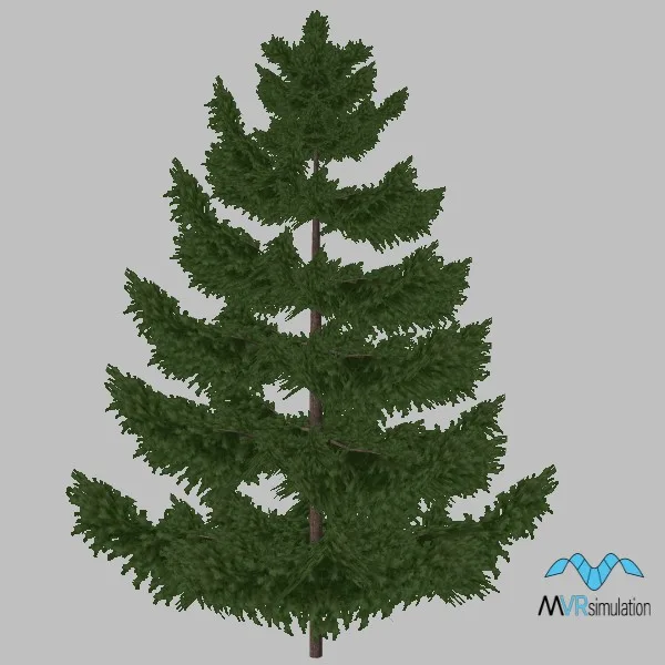 tree-pine-004 — 3D model preview