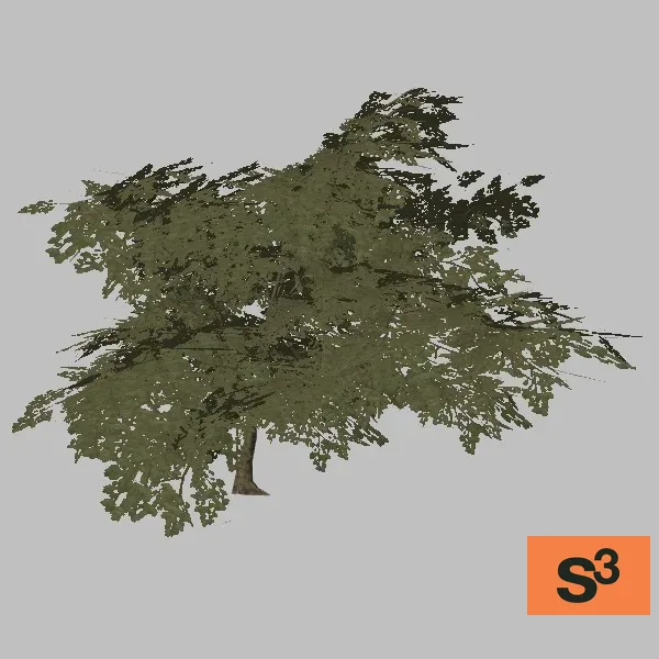 tree-pistacia-001 — 3D model preview