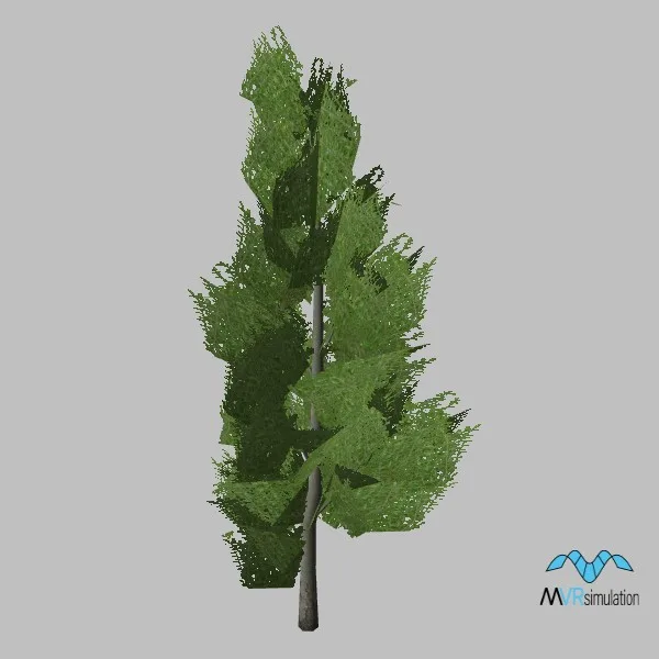tree-poplar-003 — 3D model preview