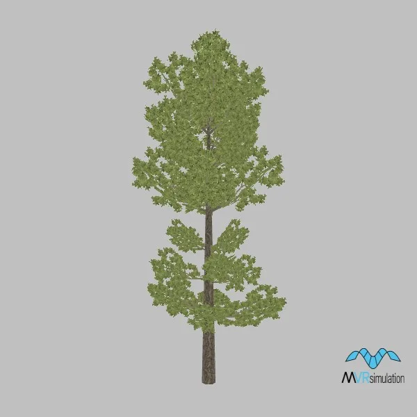 tree-pyrenean-oak-001 — 3D model preview