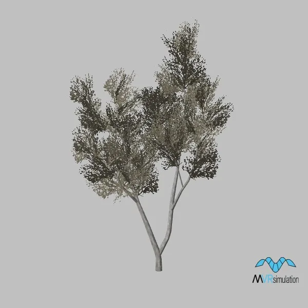 tree-smoketree-001 — 3D model preview