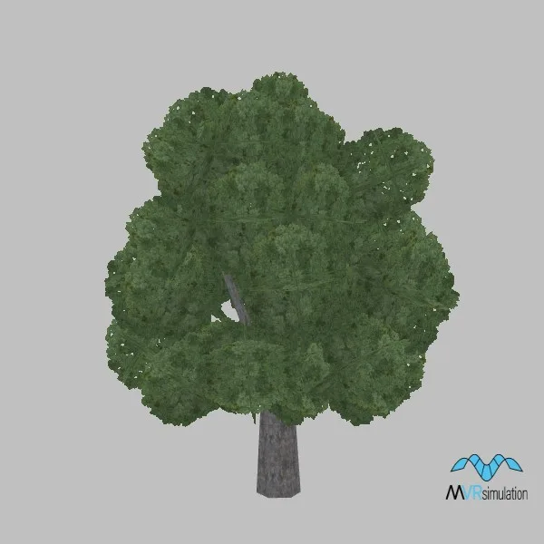 tree-spanish-juniper-001 — 3D model preview