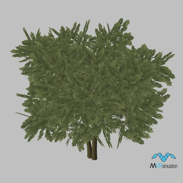 tree-terebinth-003 — 3D model preview