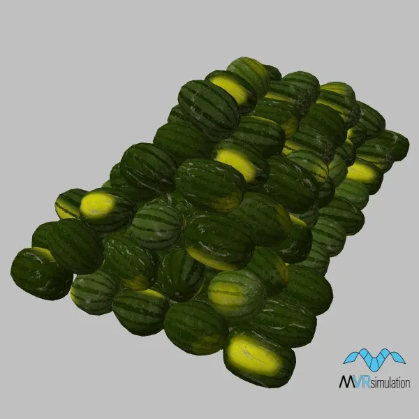 watermelon-001 — 3D model preview