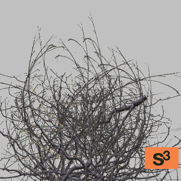bush-001 — 3D model preview