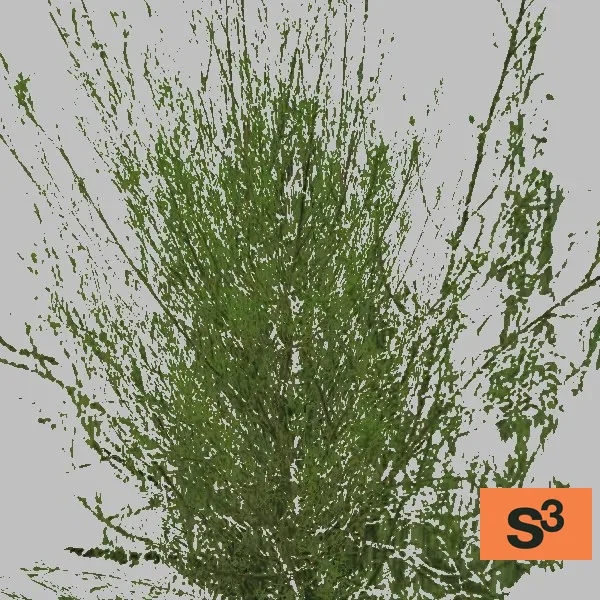 bush-002 — 3D model preview
